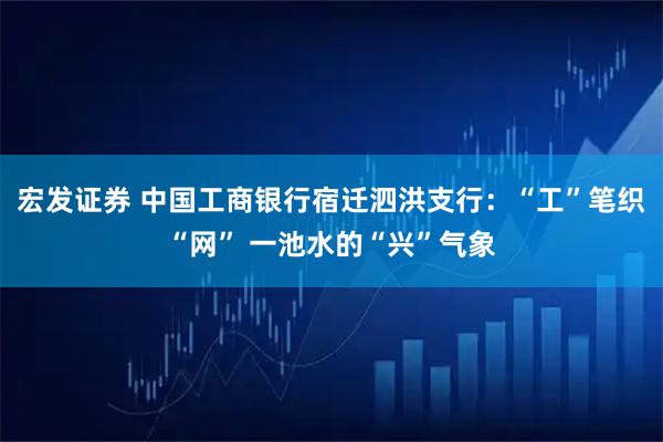 宏发证券 中国工商银行宿迁泗洪支行：“工”笔织“网” 一池水的“兴”气象